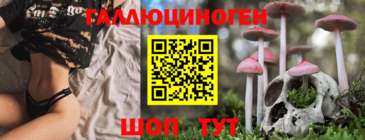 Альфа ПВП СОЛЬ кристаллы  МДМА  НБОМе  Меф кристаллы  ГЕРОИН  Домодедово  LSD-25  ГАШИШ  Вход с VPN  ТГК  Марихуана  COCAIN 