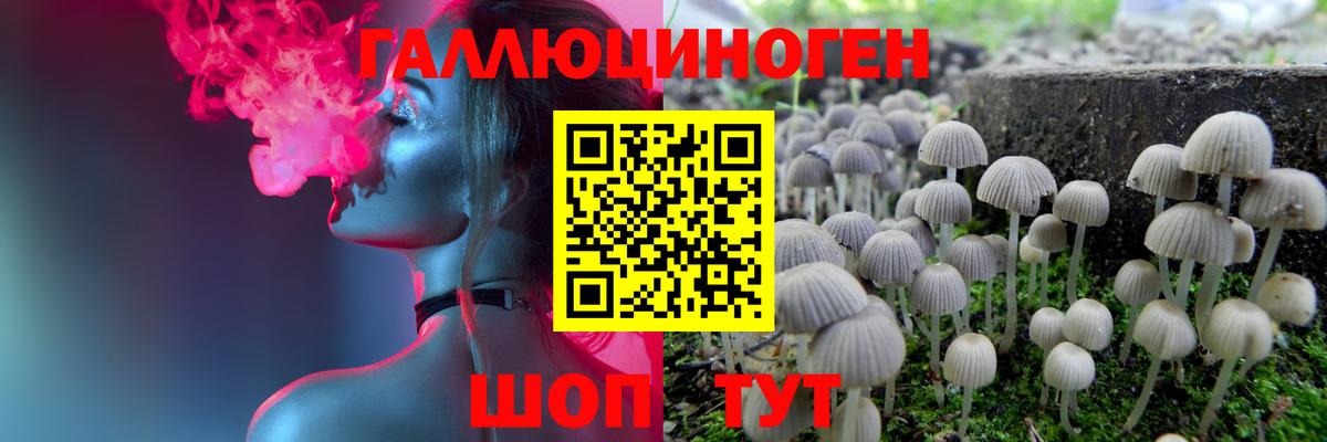 Псилоцибиновые грибы MAGIC MUSHROOMS Домодедово